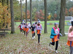 Finał Wojewódzkich Igrzyska Dzieci w sztafetowych biegach przełajowych (4)